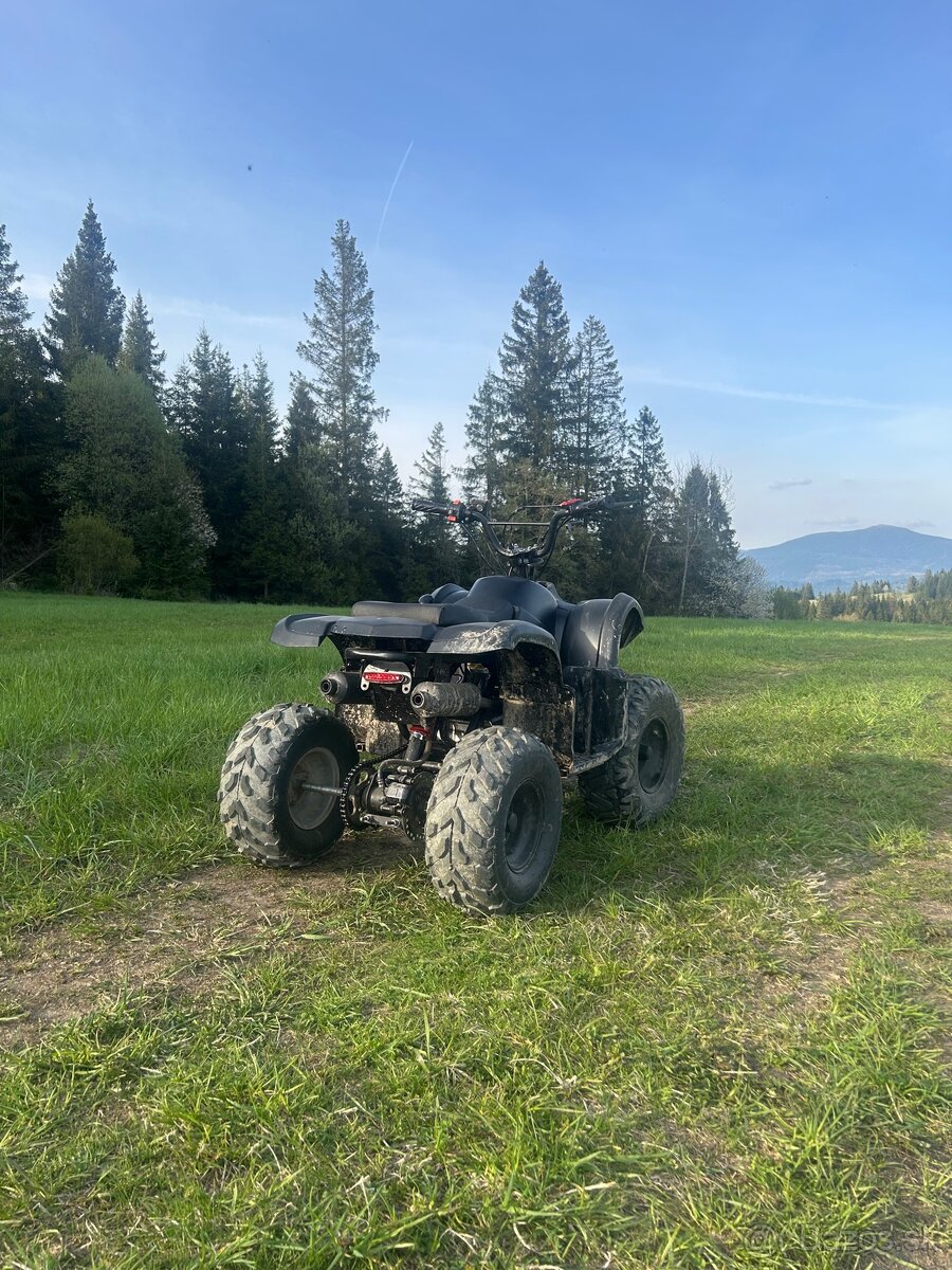 Atv 110