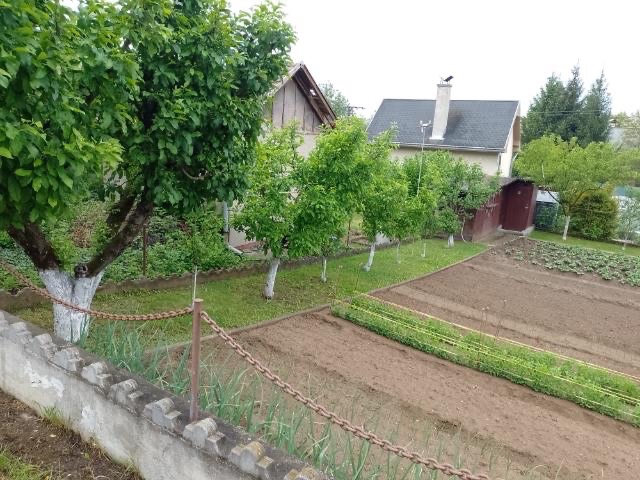 Predaj záhradnej chaty s pozemkom - 2