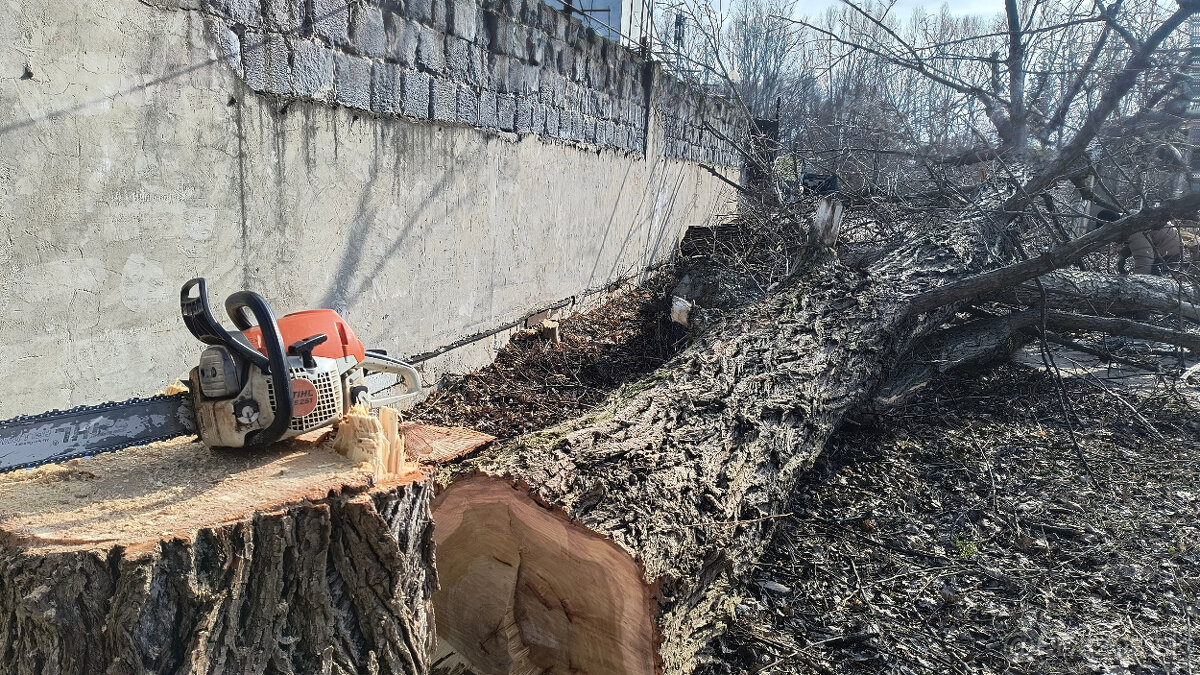 Orez a výrub stromov - 2