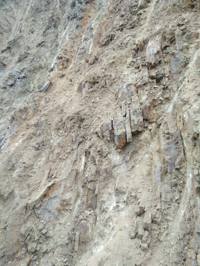 Ornica, zemina, hlina - 2