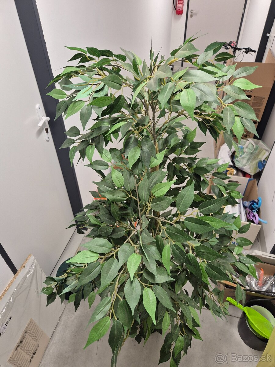 Predam umelu rastlinu FEJKA / IKEA - 2