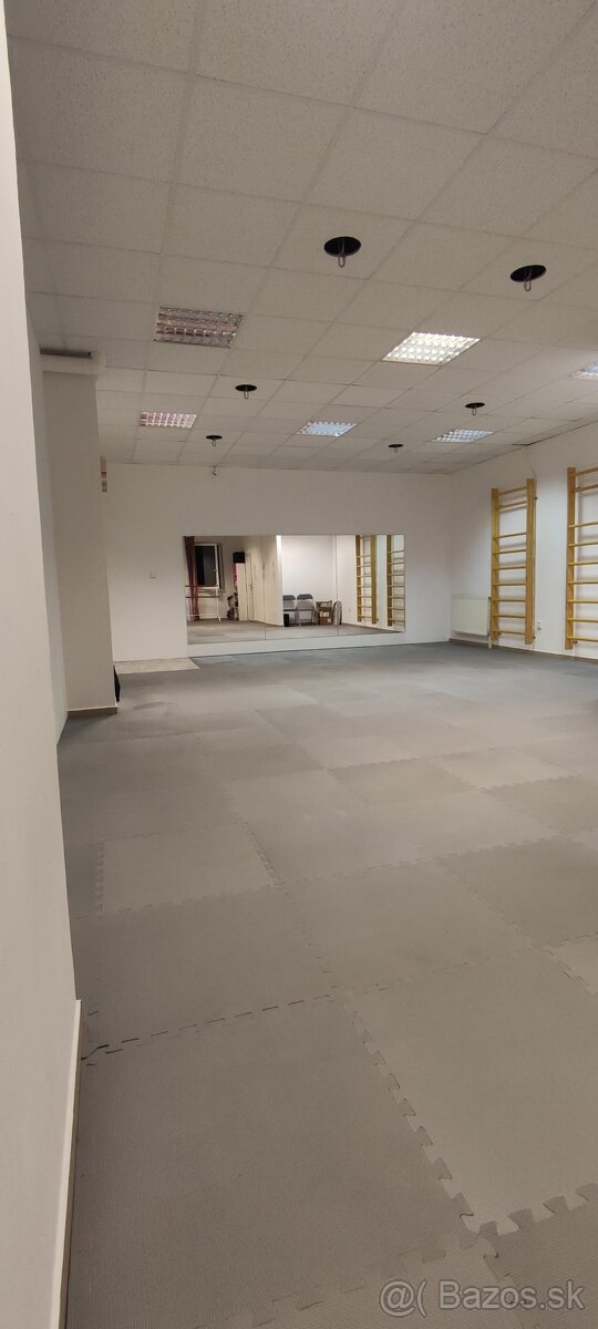 PRIESTOR 55 m2 na obchod, služby, Sereď centrum - 2