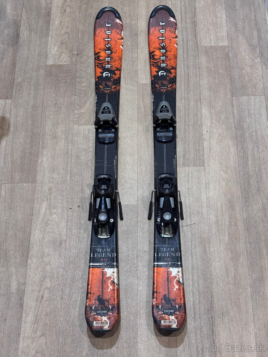 Lyže Dynastar 110 - 2