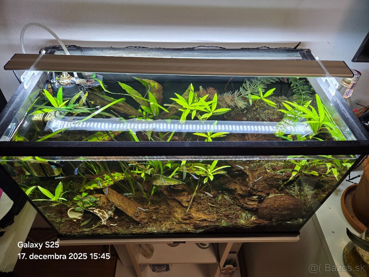 60l akvárium - 2
