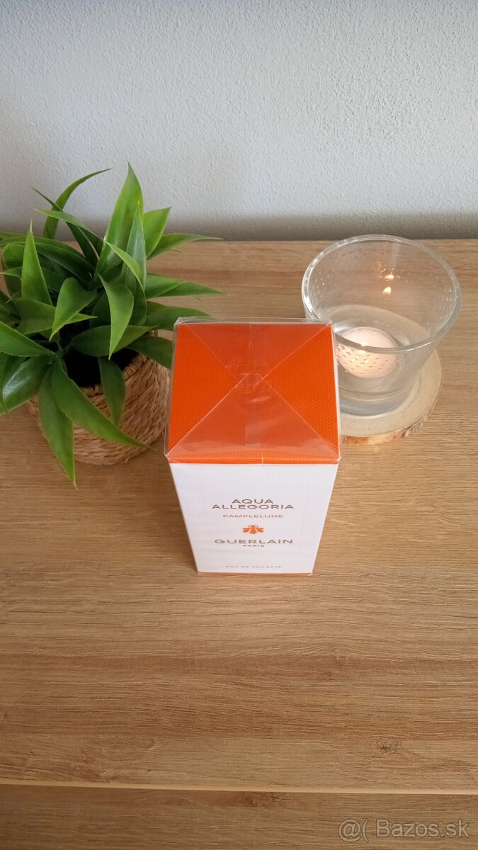 Aqua Allegoria - Pamplelune - 2