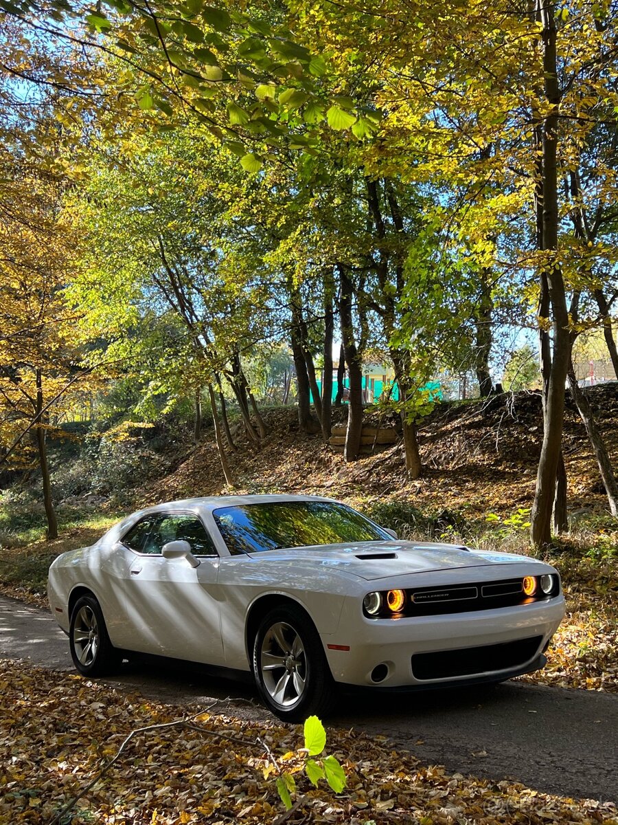 Dodge Challenger 2016 rok - 2
