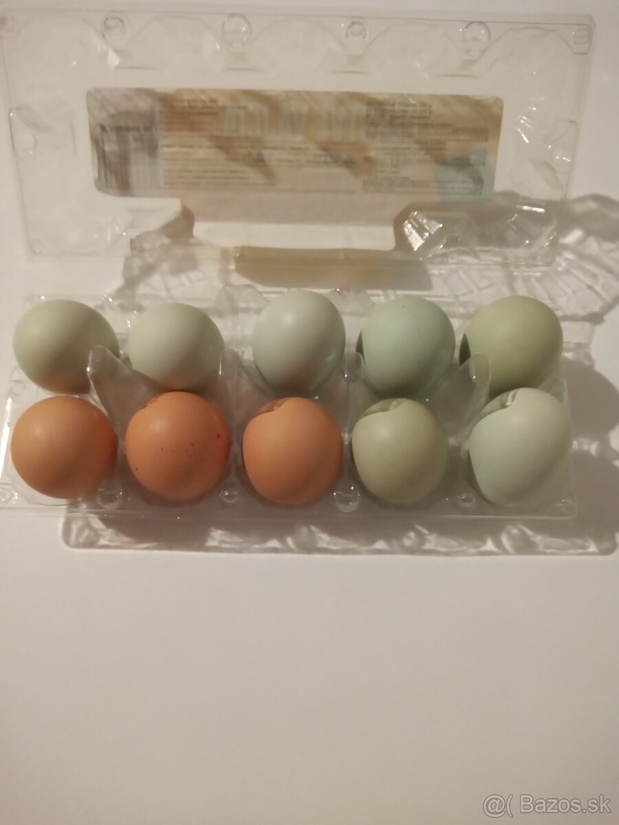 Čerstvé domáce vajíčka - 2