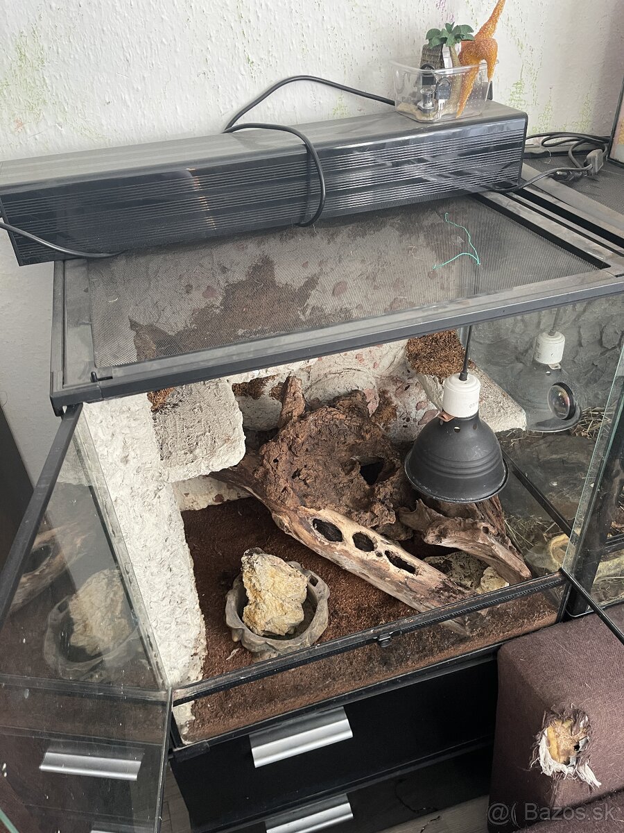 Terárium RP 60x60x45 - 2