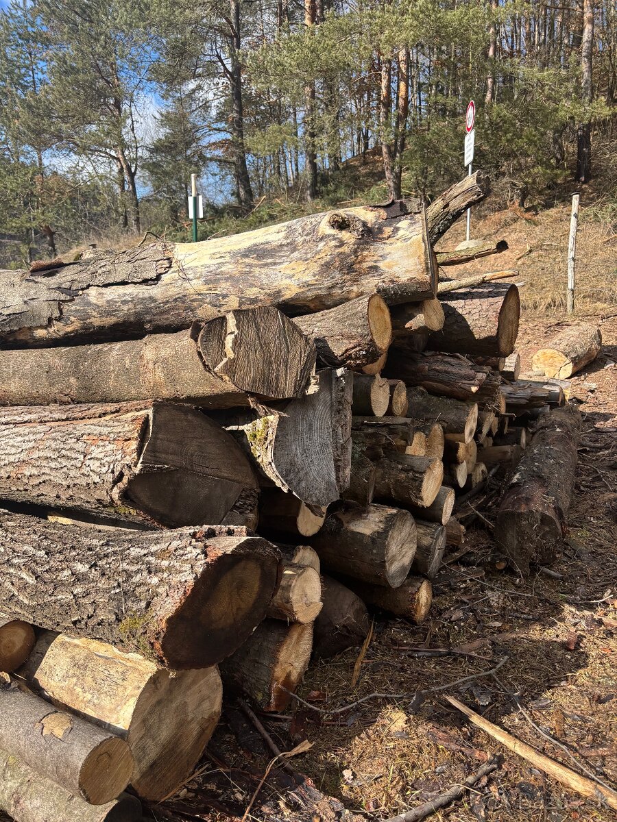 Predám palivové drevo - 2