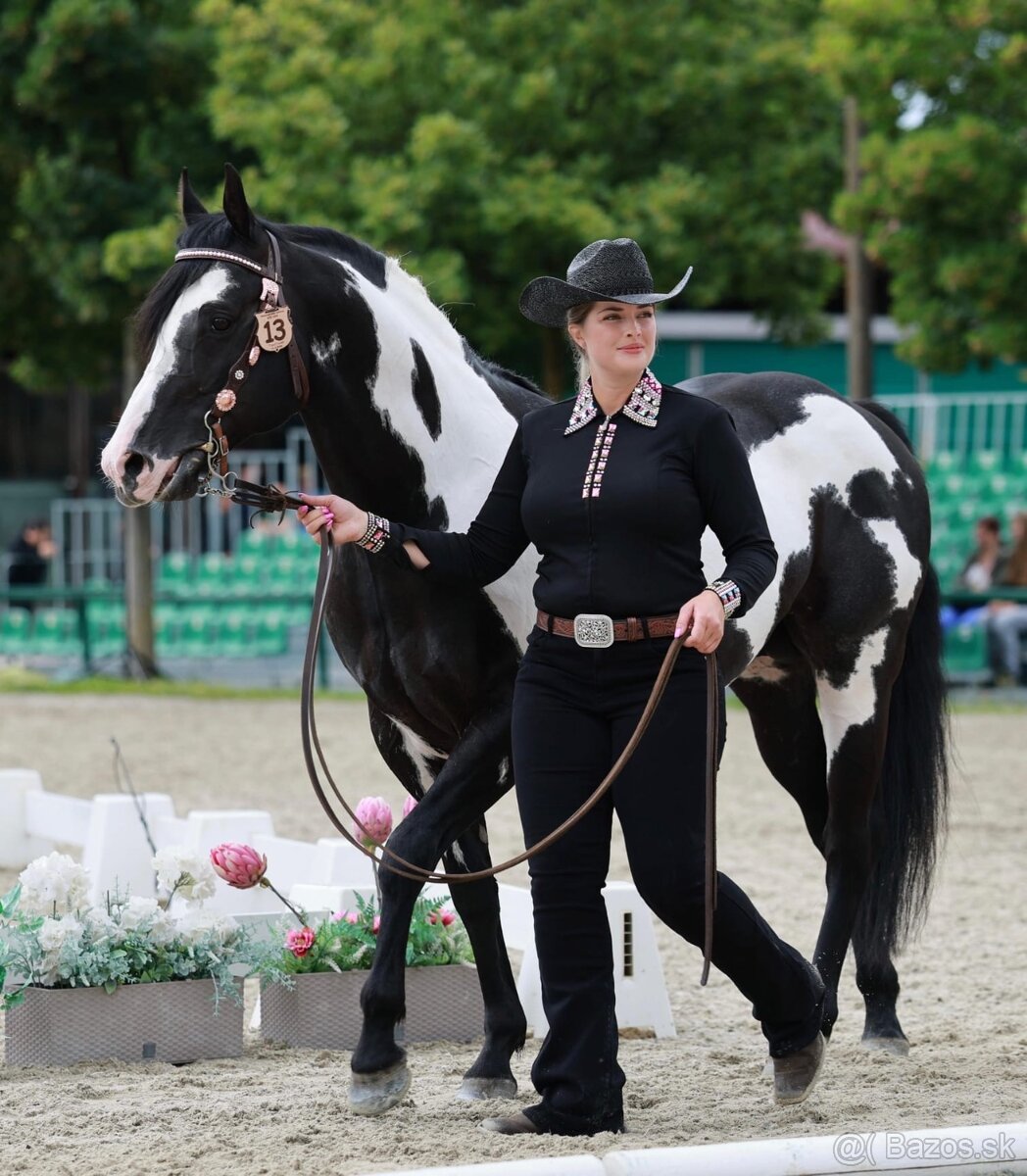 Pripúšťanie Paint Horse - 2