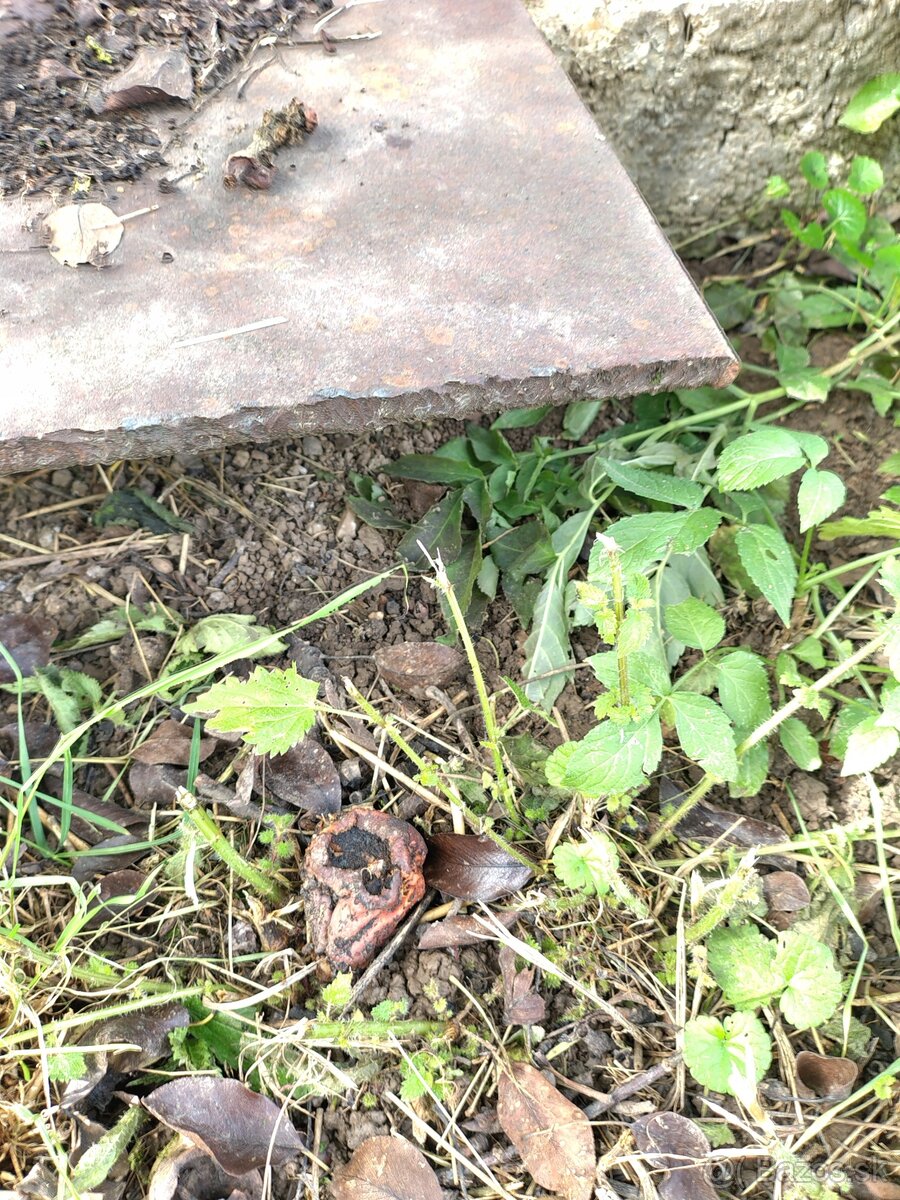 Predám oceľovú platňu - 2