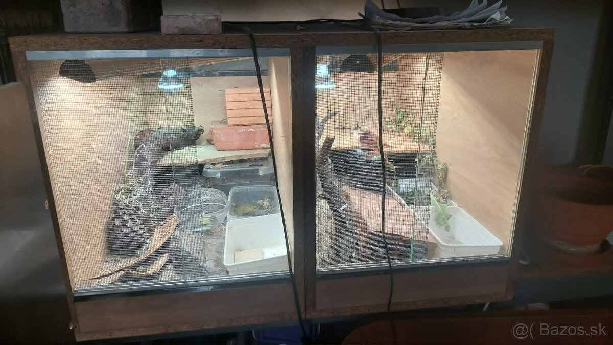 dosky na Terarium 40širka x 65,5hlbka x 50vyska 2x - 2
