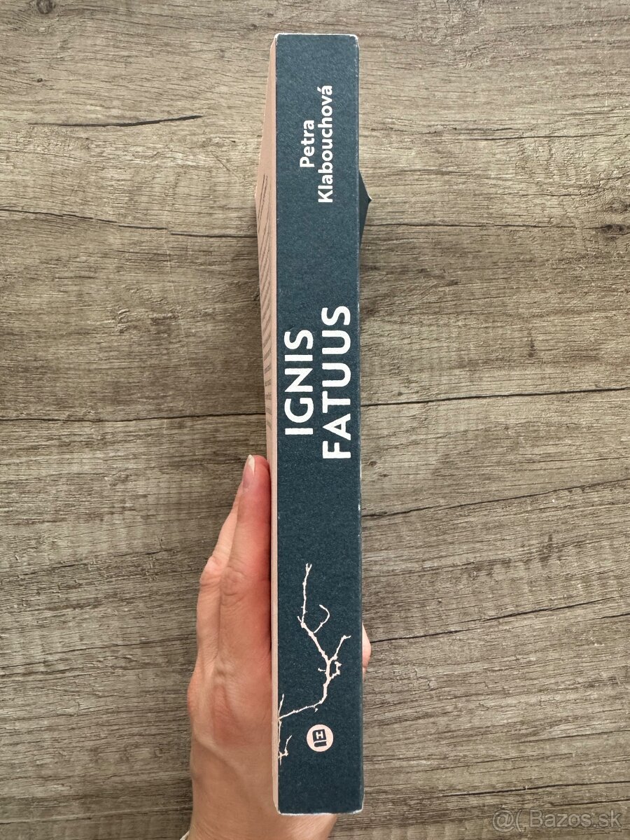 Ignis Fatuus (Petra Klabouchová) - 2