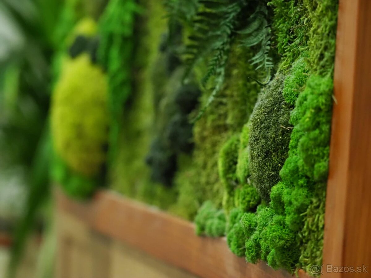 Machovy obraz 120x60cm - 2