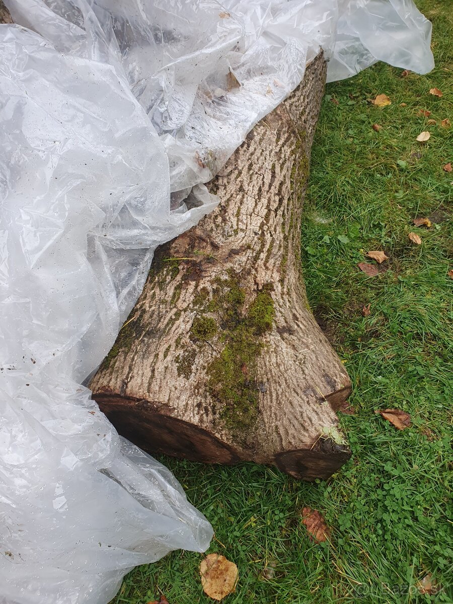 Predám Orechové drevo - 2