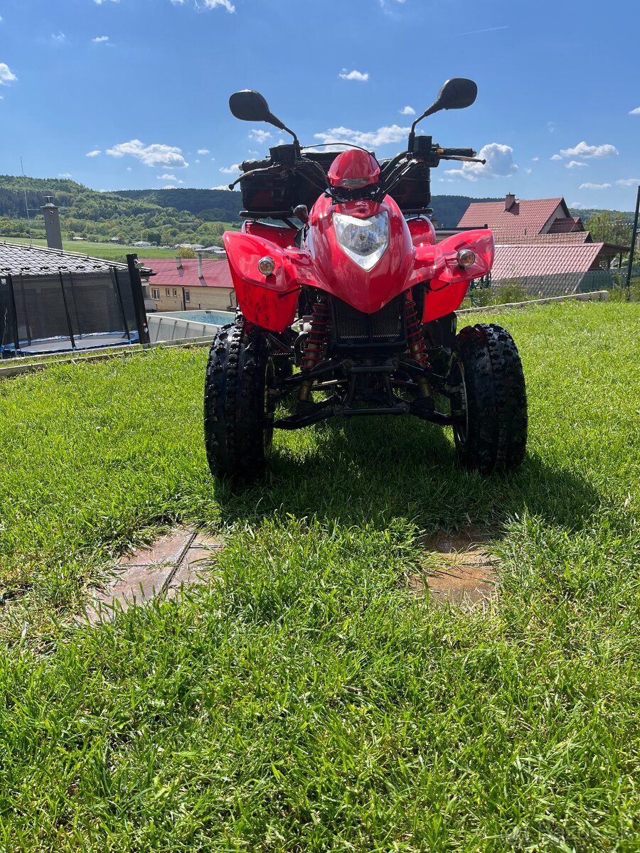 Kymco kxr 250