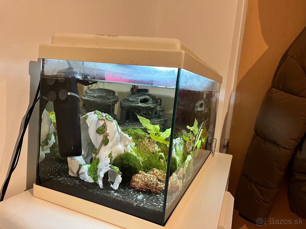 Založené akvárium - 2