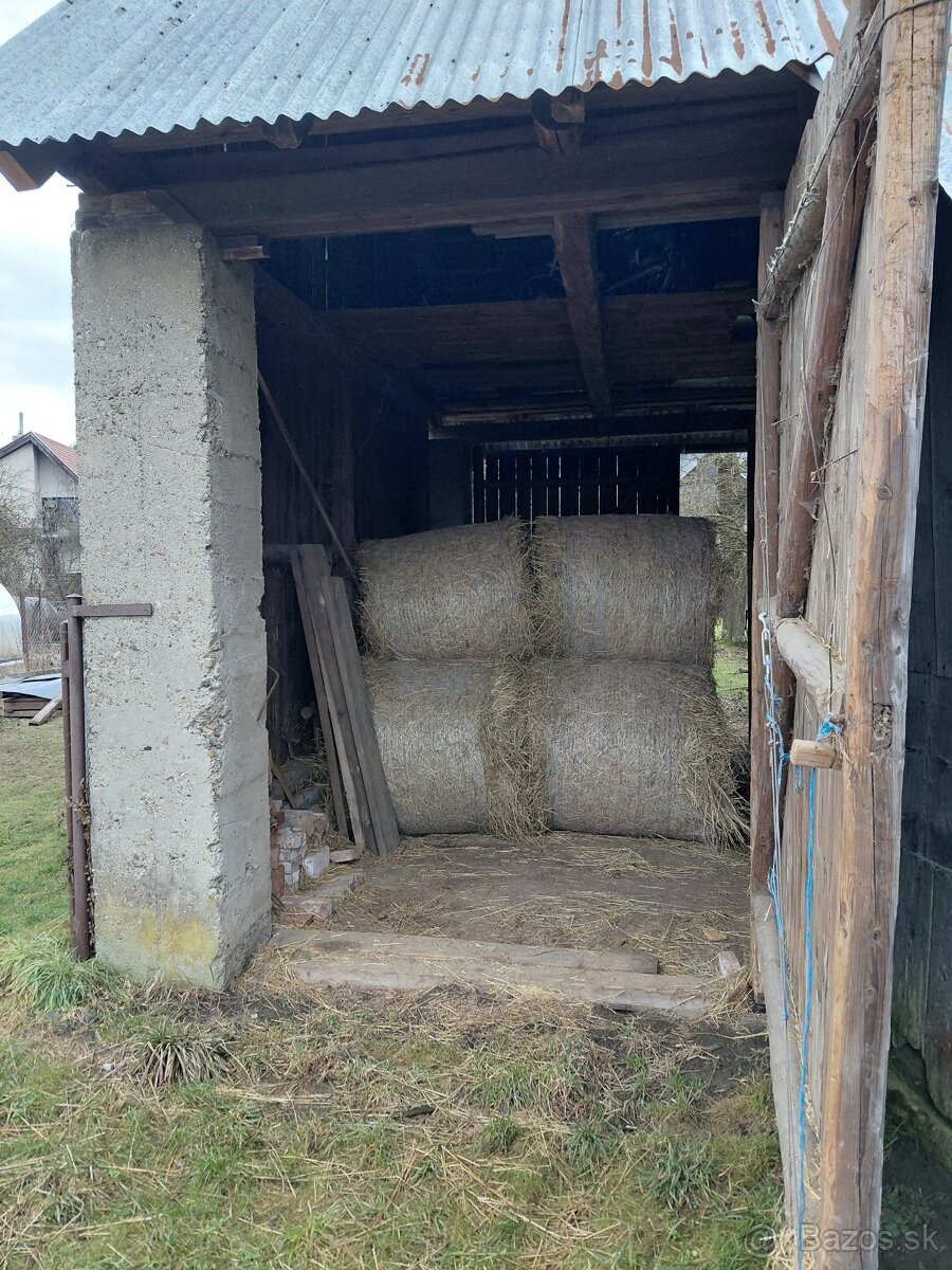 Seno veľké balíky - Ďatelinová zmes - 2