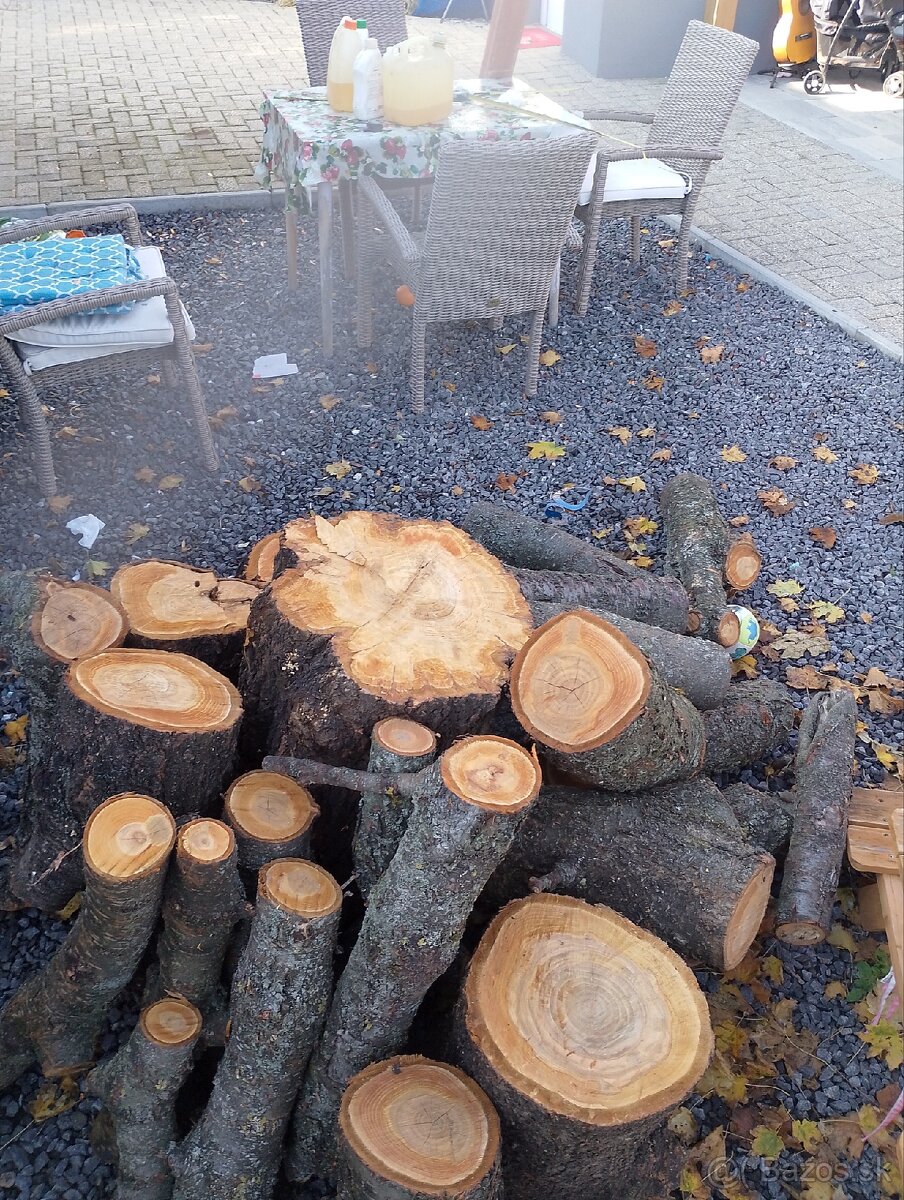 Čerešňové drevo - 2