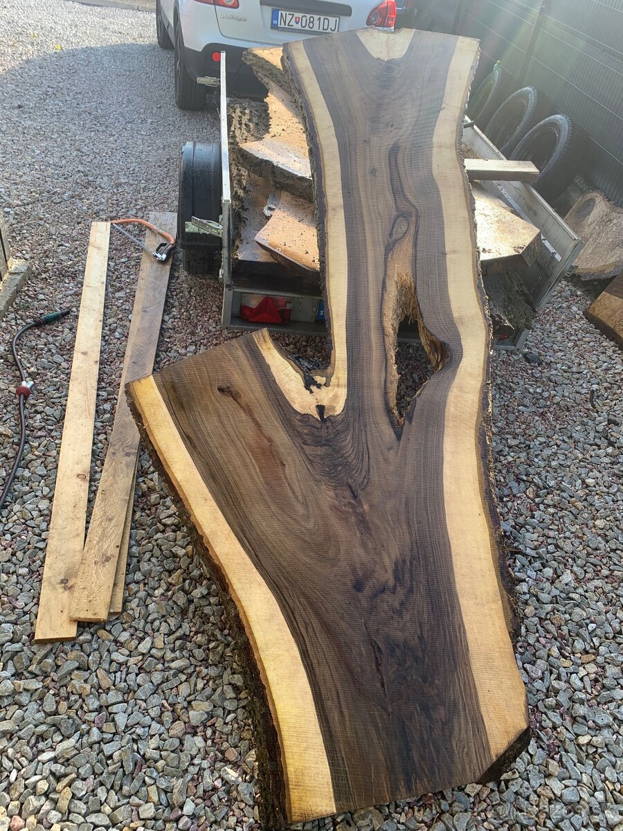 Orechove forsne z krásnou kresbou - 2