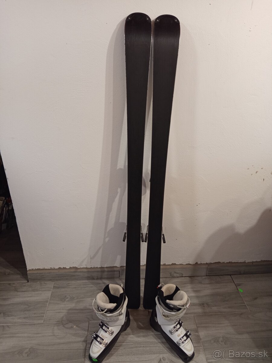 predám lyže salomon fokus - 2
