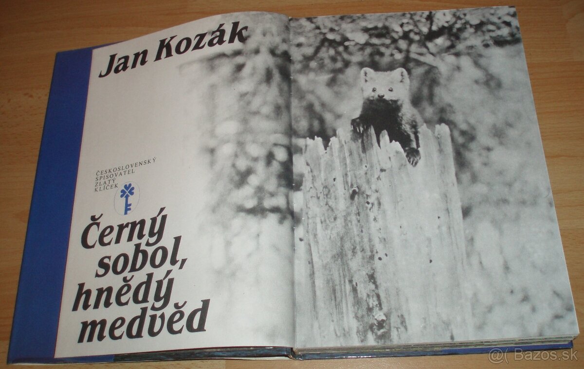 Černý sobol, hnědý medvěd - 2