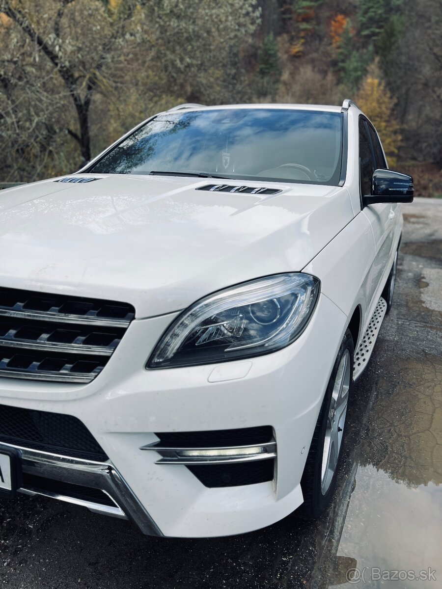 Mercedes ML 350 Bluetec 4matic - 2