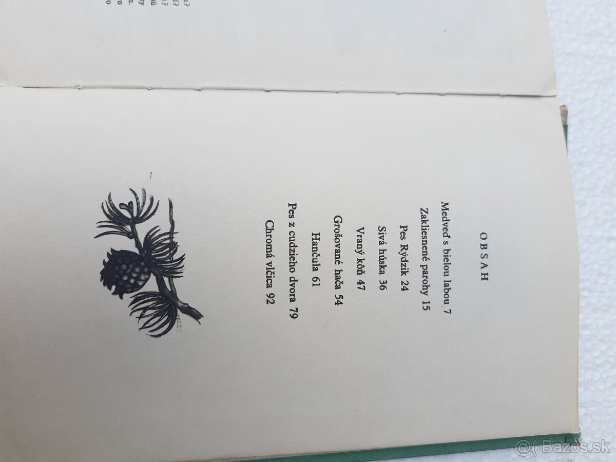 Sivá húska - Zelinová Hana - 2