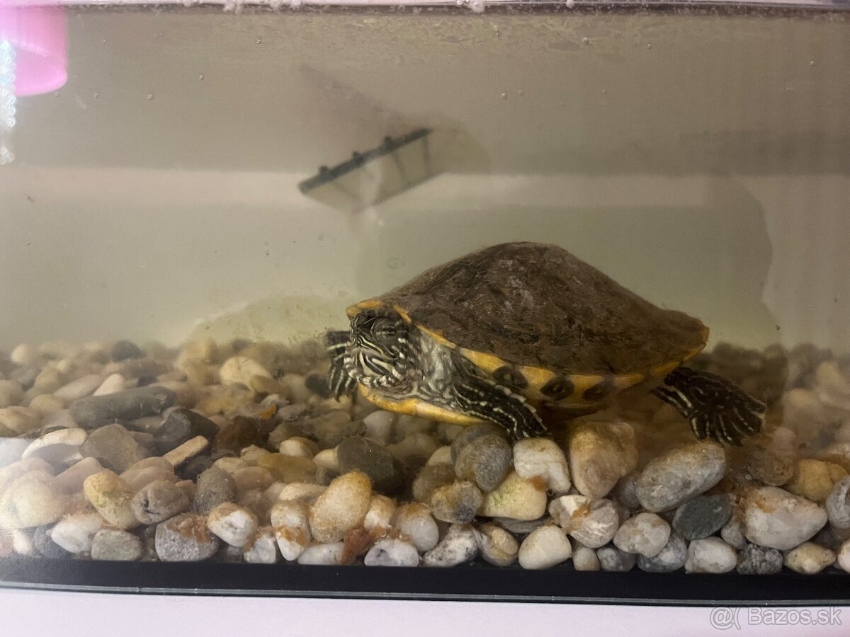 Predám akvárium. - 2