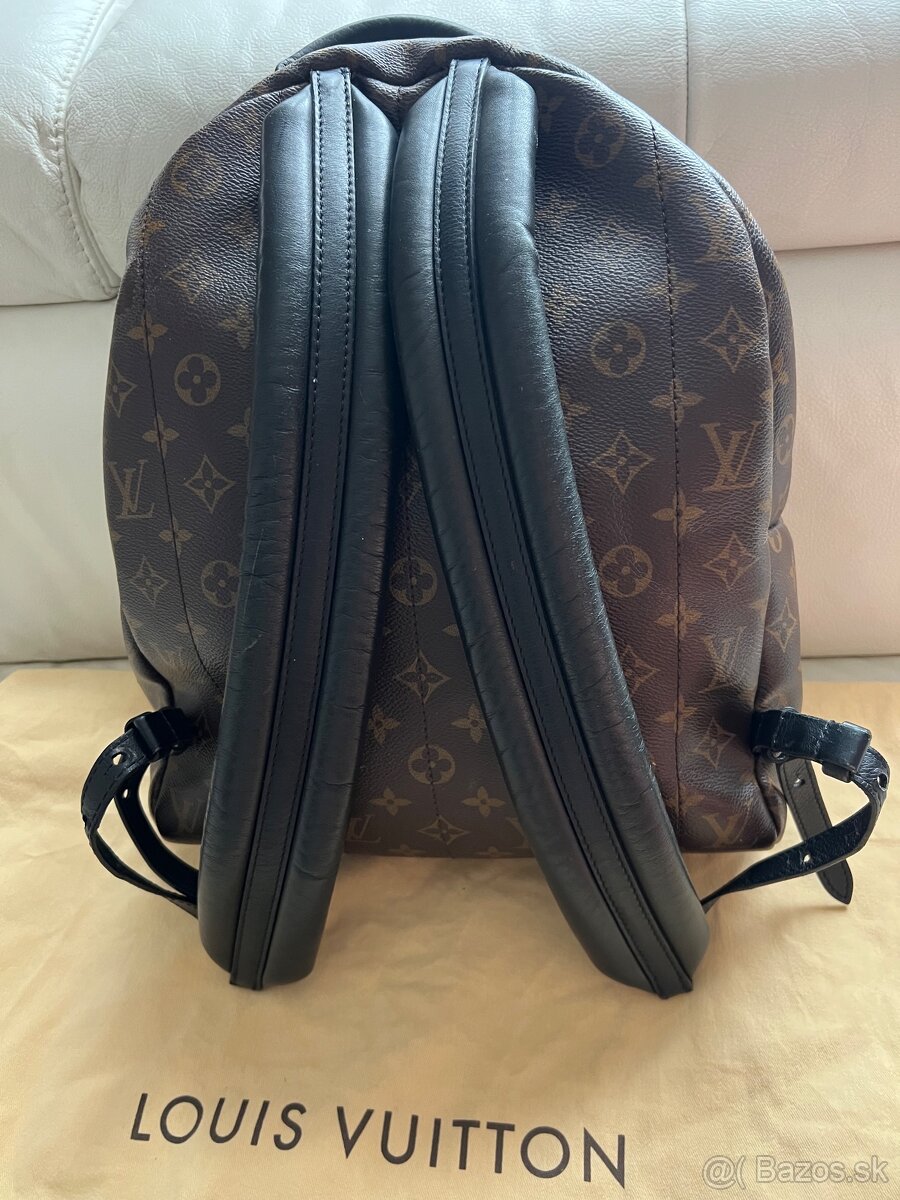 Louis Vuitton Palm Springs MM - 2