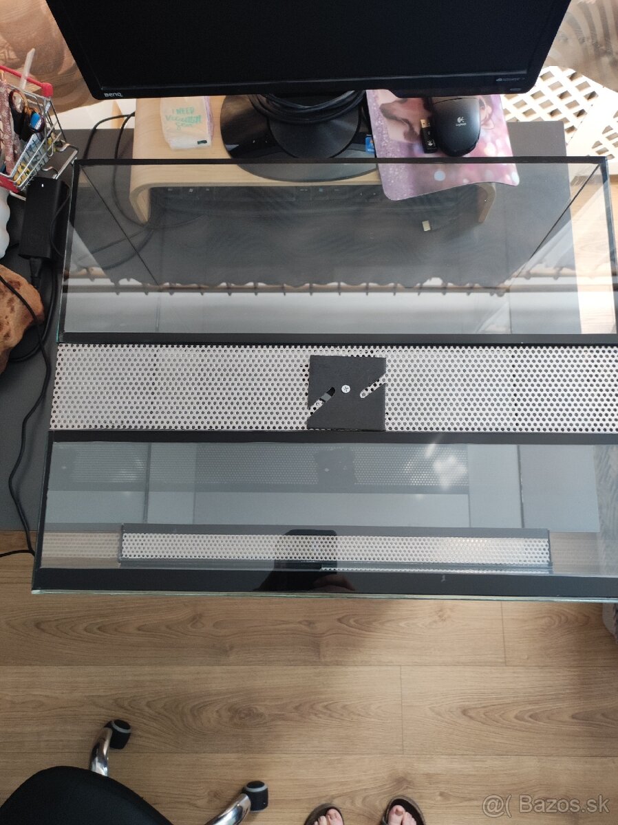 Terarium - 2