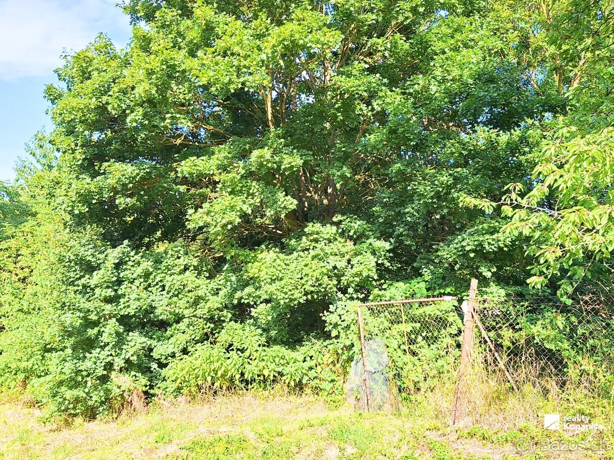 Stavebný pozemok na víkendový relax - 2