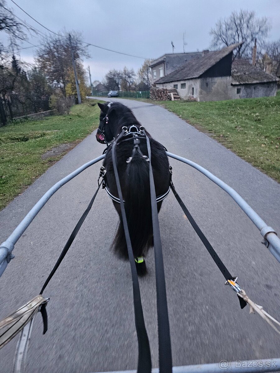 Dochádzka ku koňom - 2