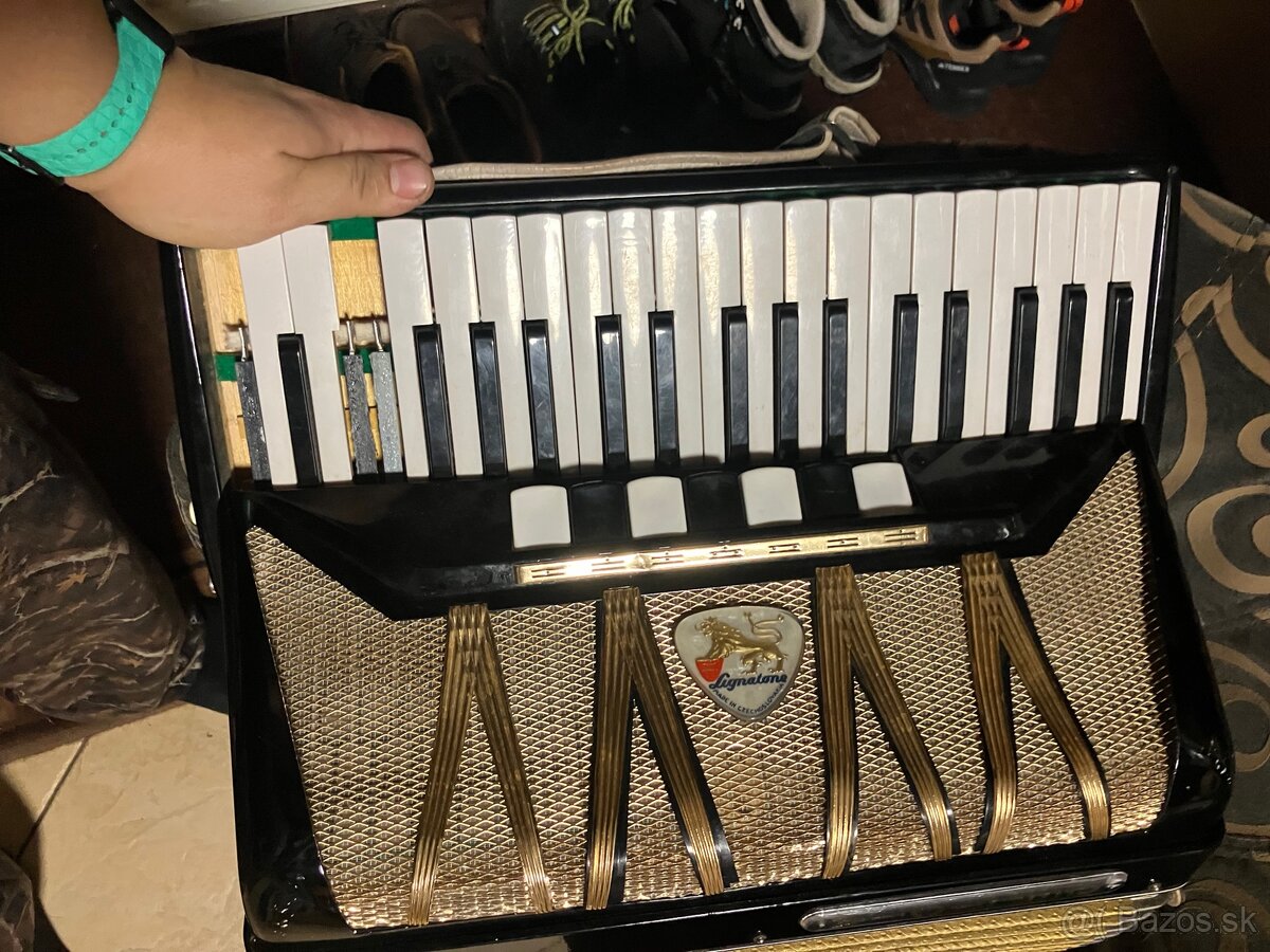 Predám heligónku delicia 8 - 2