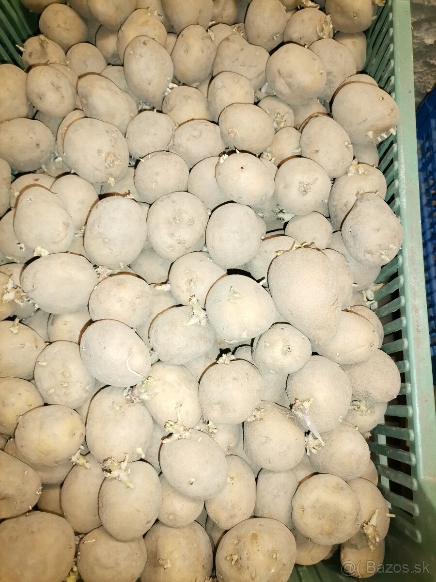 Zemiaky - 2