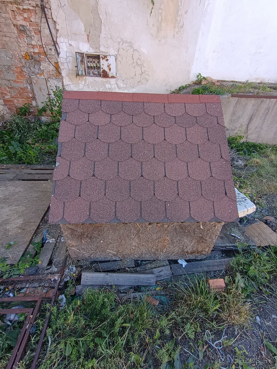 Psia búda - 2