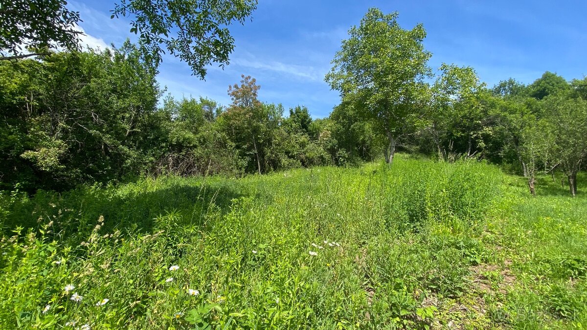Prenajmem pozemok v Slovenskom krase -v Jabloňove nad Turňou - 2