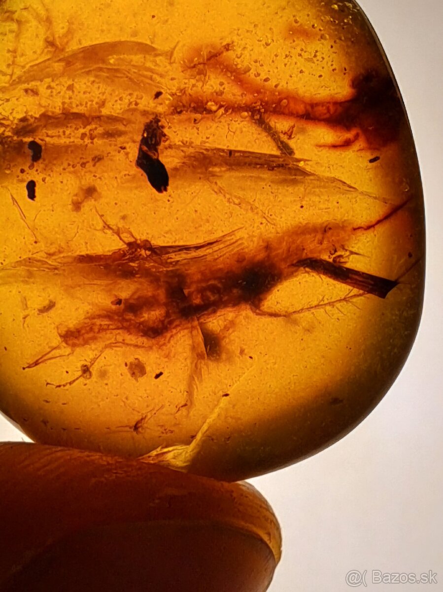 Jantár s veľkým hmyzom - 2