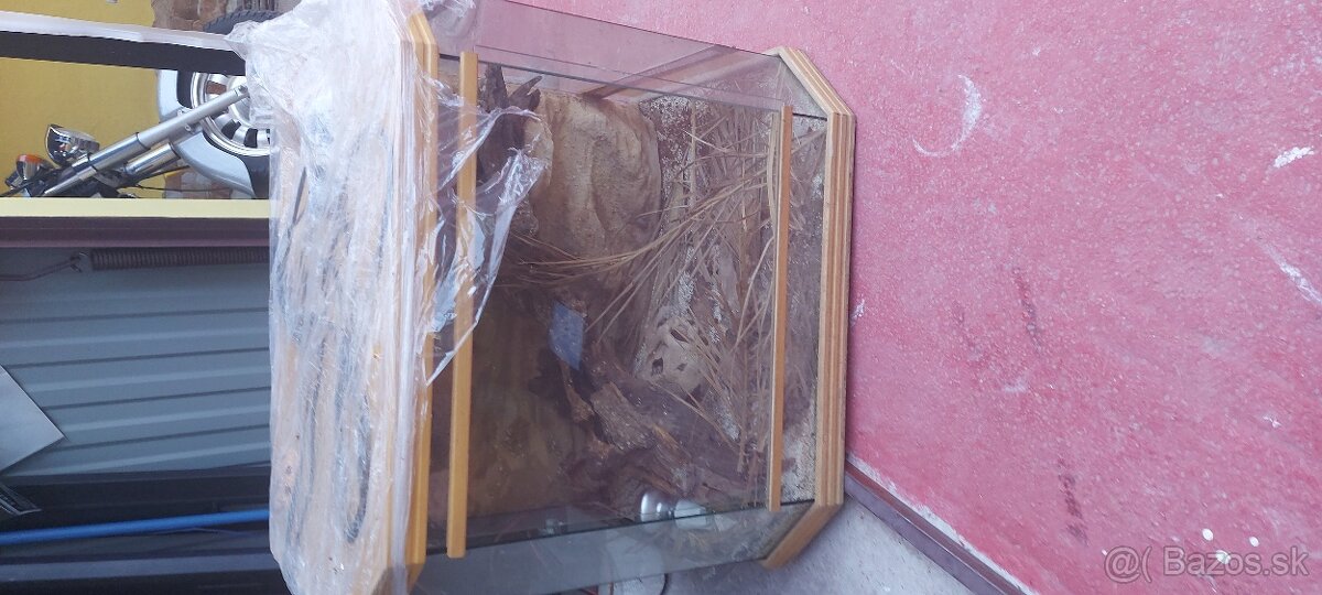 Terarium - 2
