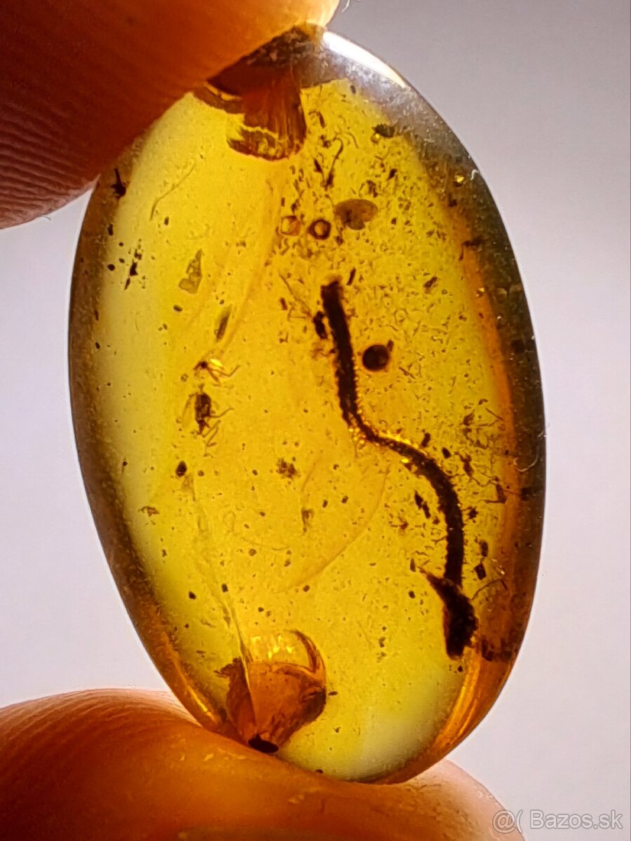 Jantár s mnohonôžkou - 2