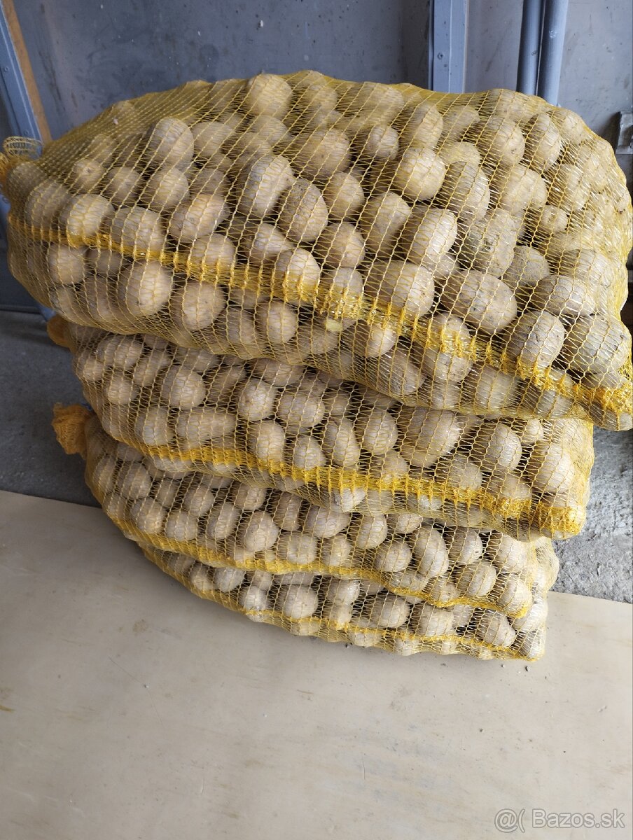 Predám sadbové zemiaky - 2