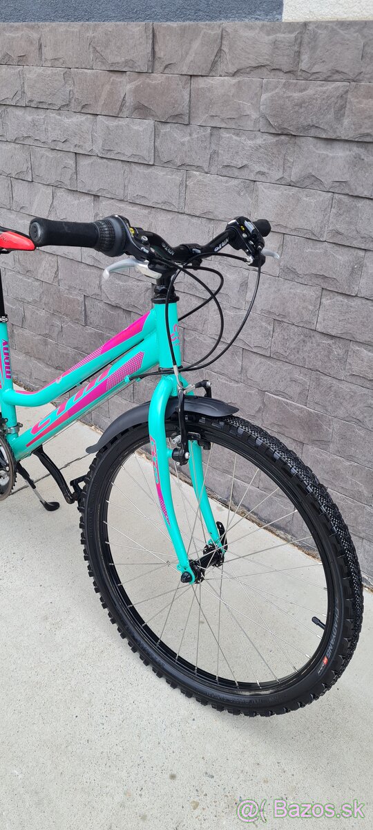 Bicykel Ctm 24" nice - 2