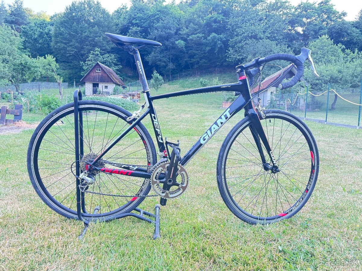 Giant Defy - 2