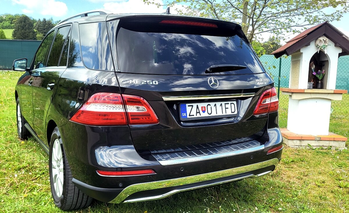 Mercedes-Benz ML 250 Bluetec 4MATIC - 2