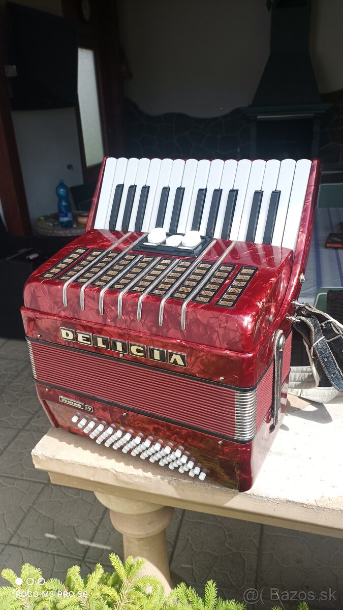 Harmonika -Akordeon.Delícia Junior 60 basová. - 2