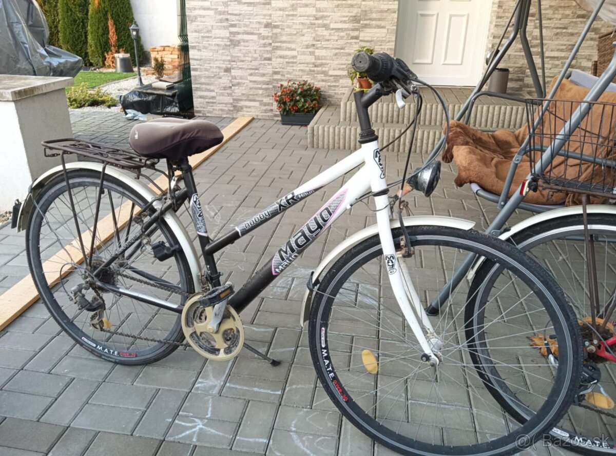 Dámsky a pánsky bicykel - 2