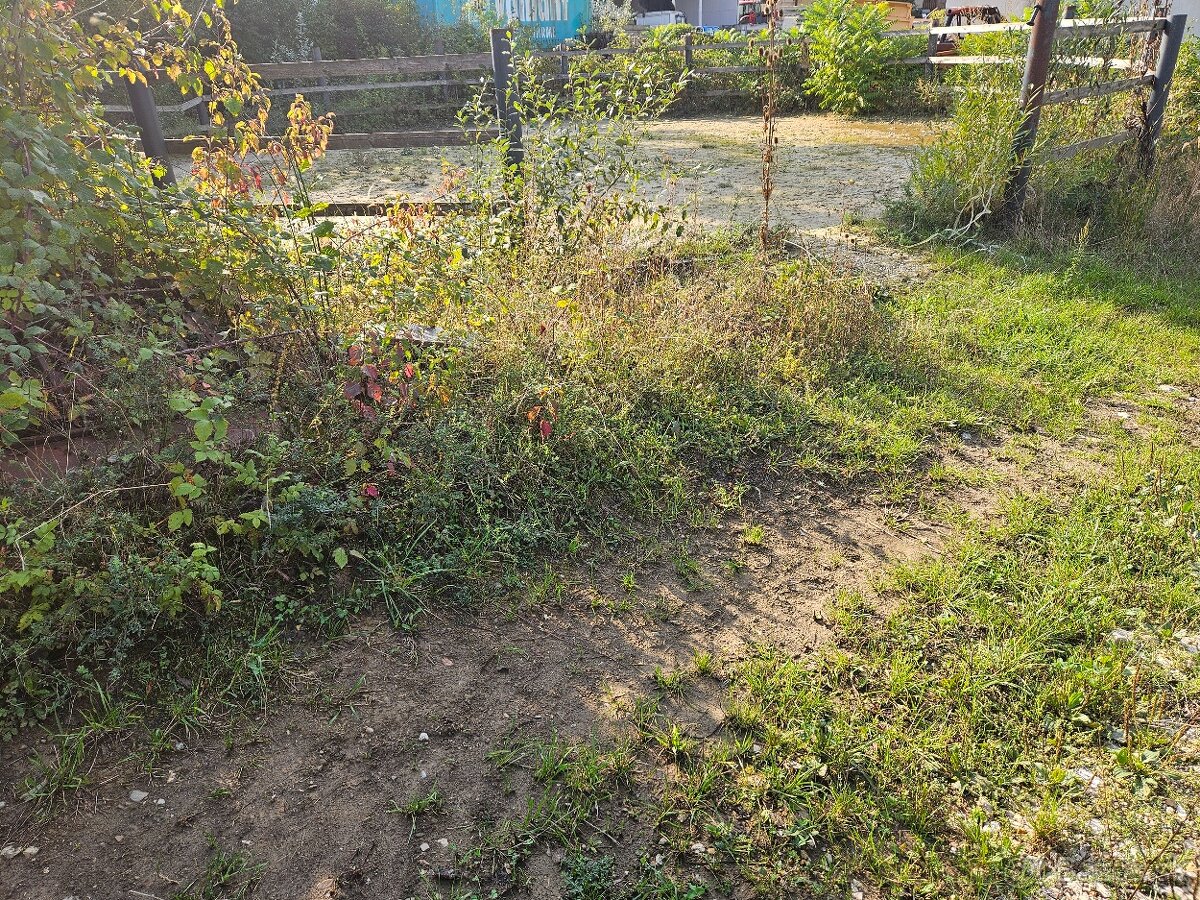 ustajnenie koni, vychadzky vodenie pre deti - 2