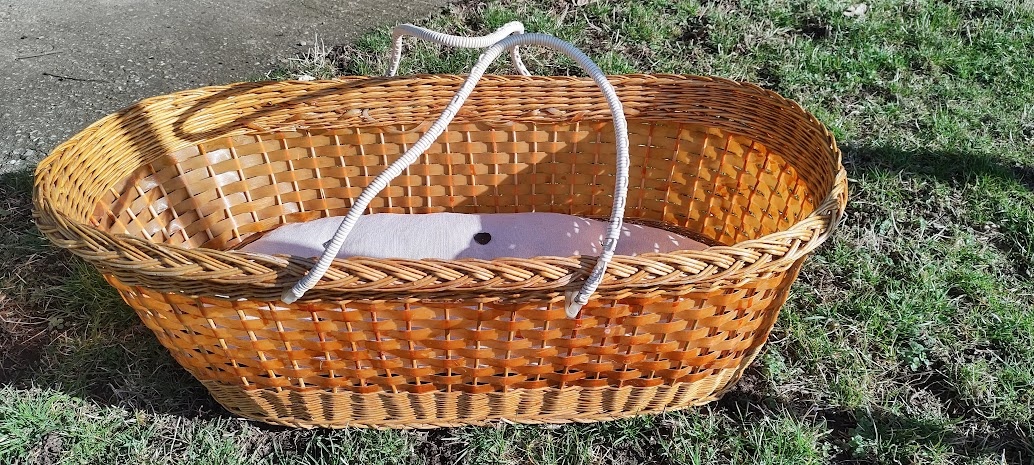 Mojžišov kôš - 2