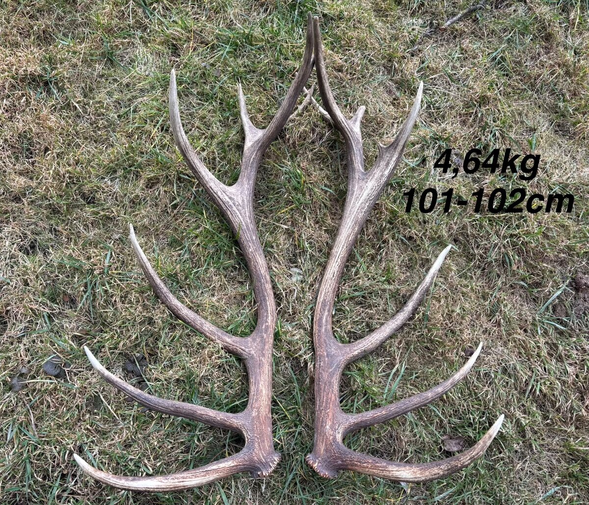 Parohy,parožie,zhody - 2