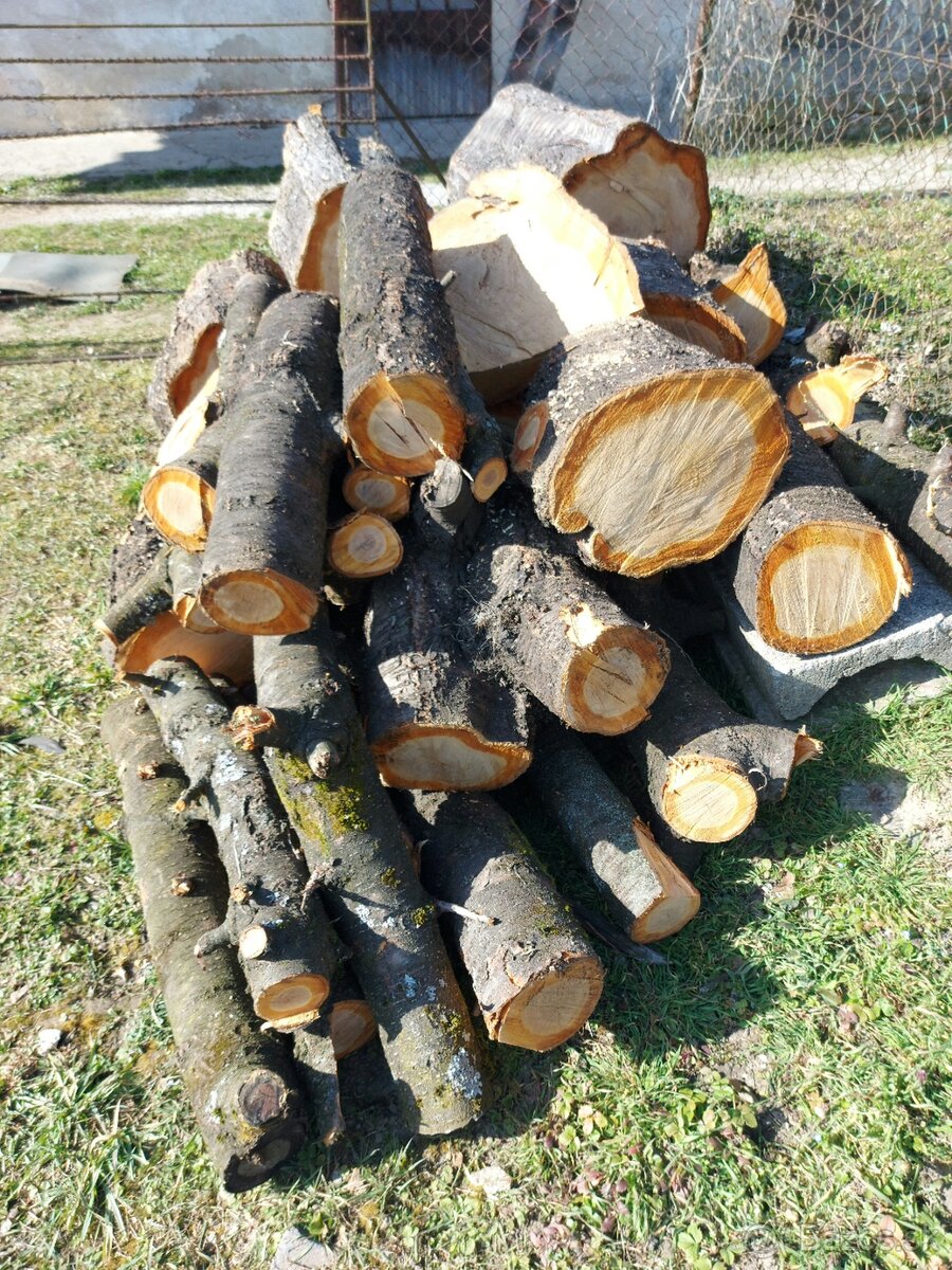 Čerešňové drevo - 2